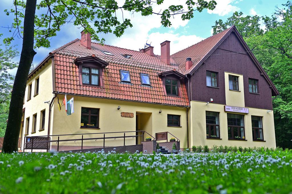 Willa Strzelnica Hotel Koscierzyna Exterior photo