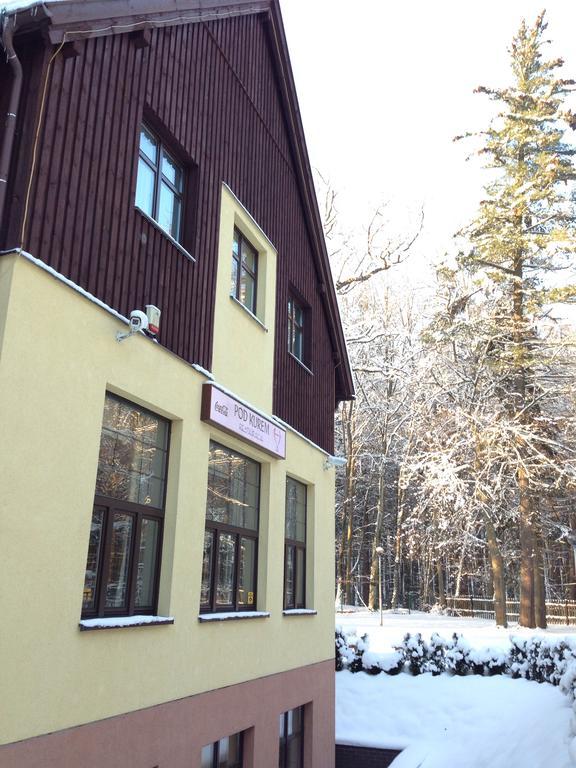 Willa Strzelnica Hotel Koscierzyna Exterior photo